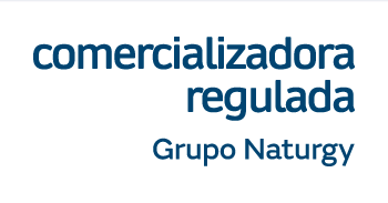 logo power naturgy